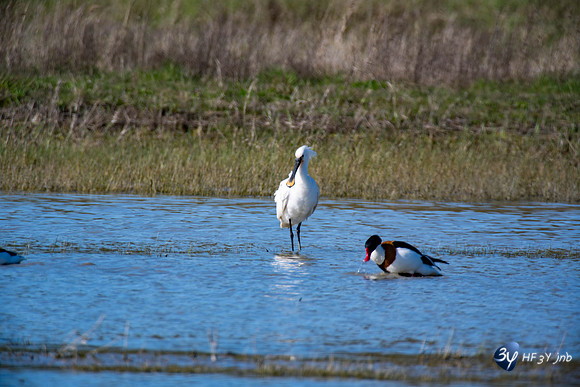 Breuil Magné Parc Nature 2019