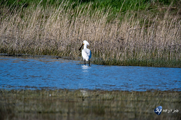 Breuil Magné Parc Nature 2019