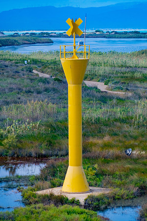 20211008-oiseaux-flamant-héron-ebre-delta-Z07_6458
