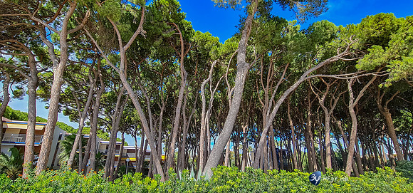 20211003-Péniscola-Espagne-20211004_133725