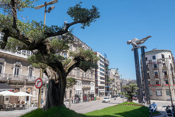 20190513-Espagne-Vigo-L1030386