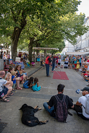 20190717-Vieux-Port-chat-Rochelle-Z7N_4208