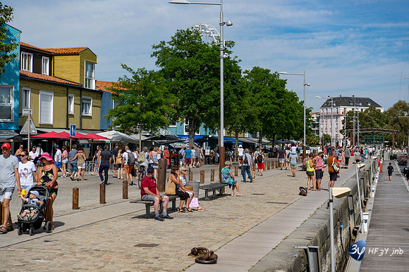 20190717-Vieux-Port-Rochelle-Z7N_4135