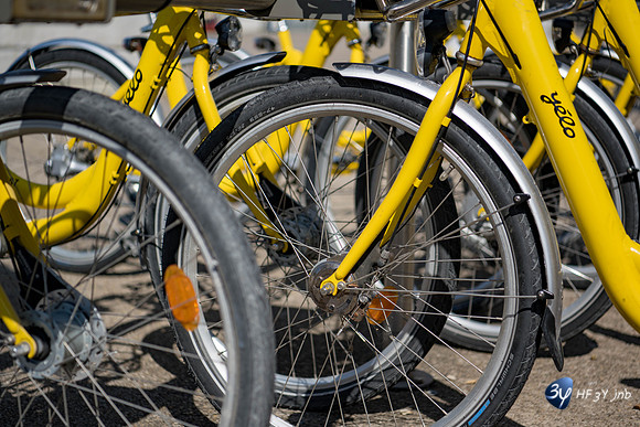 20190721-Vieux-Port-Rochelle-rayon-jaune-Rochelle-Z7N_4351