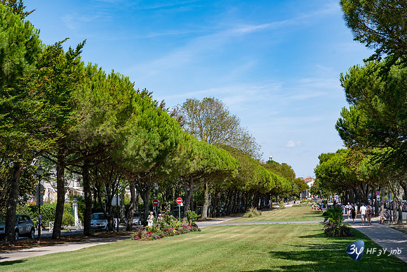 20190721-Vieux-Port-Rochelle-Rochelle-Z7N_4333