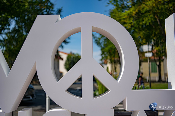 20190721-Vieux-Port-Rochelle-Rochelle-Z7N_4347