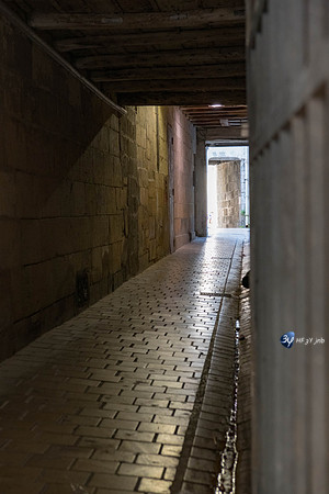 20190721-Vieux-Port-Rochelle-Rochelle-Z7N_4391
