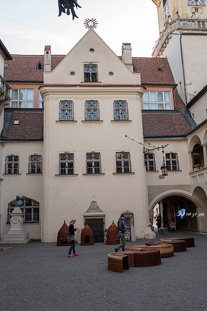 20190909-Danube-Bratislava-Slovaquie-L1060684