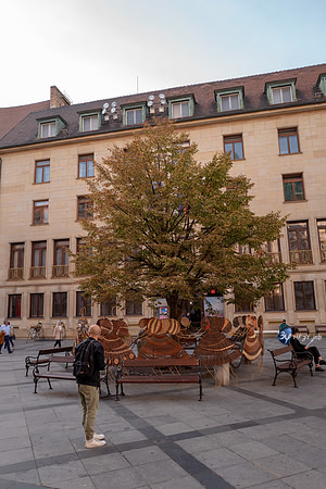 20190909-Danube-Bratislava-Slovaquie-L1060691