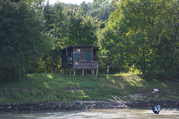 20190909-Danube-Bratislava-Slovaquie-Z7N_5024-2