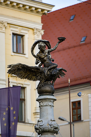 20190909-Danube-Bratislava-Slovaquie-Z7N_5135