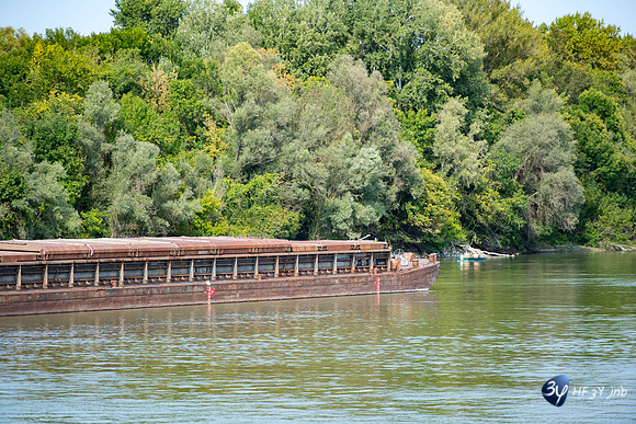 20190913-Novie-sad-SerbieJNB_5722
