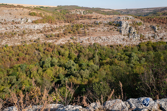 20190916-Danube-Bulgarie-Roussé-L1070963