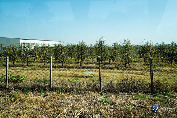 20190916-Danube-Bulgarie-Roussé-L1080091