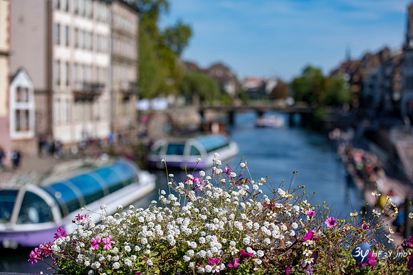 20190921-Rhin-Danube-Strasbourg-JNB_6961