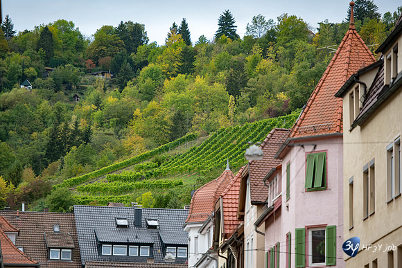 20190929-Allemagne-Baden-Baden-JNB_7285