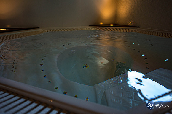 20120731-hotel-LR-design-rochelle-_JNB1269