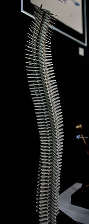 L1120468-2