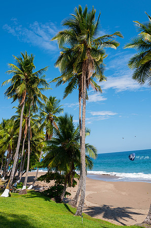 20200321-Costa Rica-Tambor-Beachfront-plage-L1140522