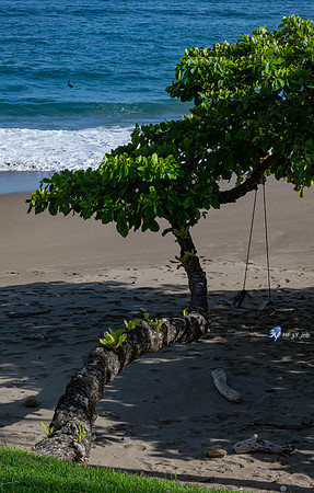 20200321-Costa Rica-Tambor-Beachfront-Z07_0521