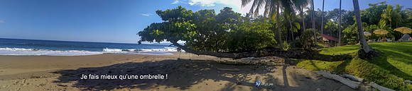 20200327T-Costa Rica-IMG_20200320_152848
