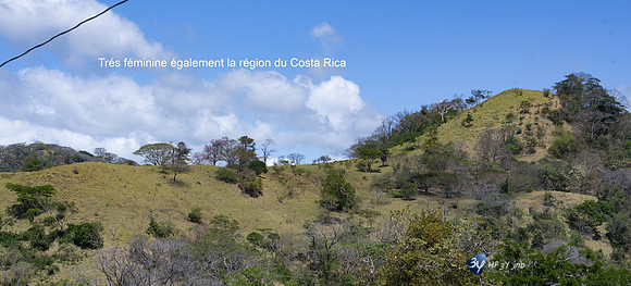 20200327T-Costa Rica-Z07_9950