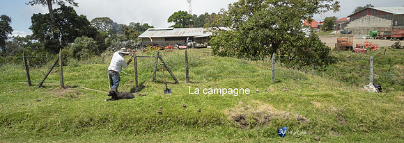 20200327T-Costa Rica-L1130195