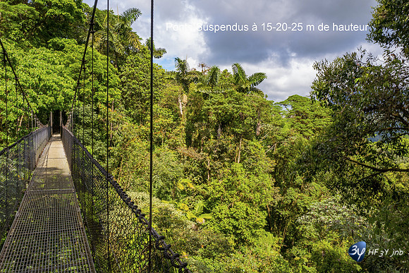 20200327T-Costa Rica-L1130875