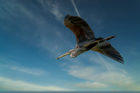 20240509-_Z9B3022---2--_1