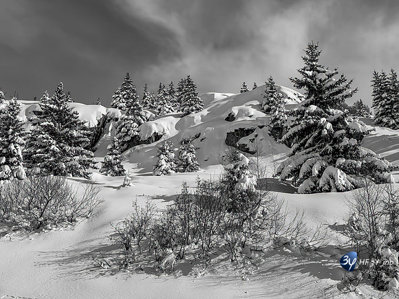 20250204-Alpe-Huez-IMG_2165-2-M-2-1_1