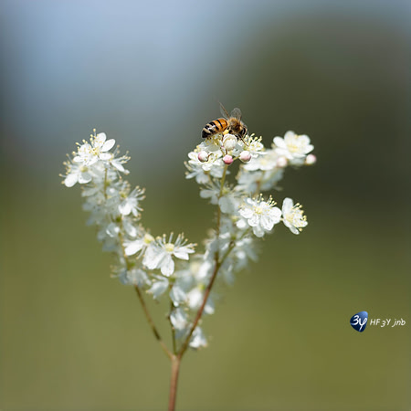 20240509-_Z9D2805--_1