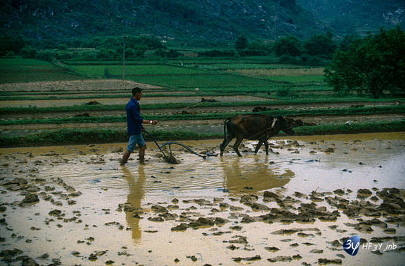 19920507-chine-chine37