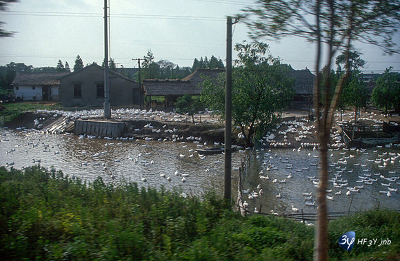 19920507-chine-chin20