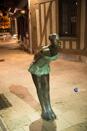 20161107-troyes-_6D47194_5177-Troyes Novembre 2016-lightroom-