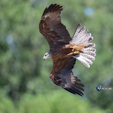20240731-Dordogne-_Z9B8699-2-MPH