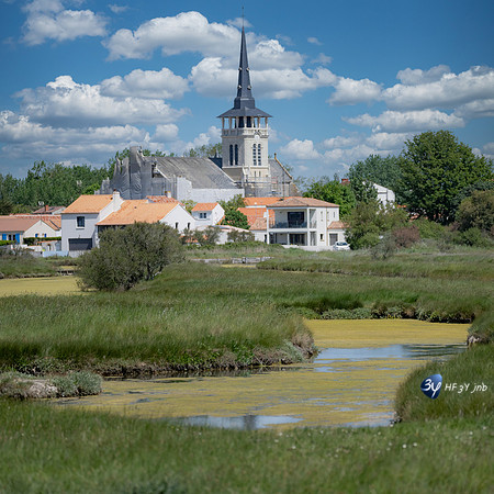 20220506-Ile-Olonne-sel-Z07_2199