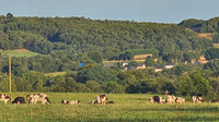 20250812-Bretagne-20250801_203337-3