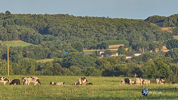 20250812-Bretagne-20250801_203337-3