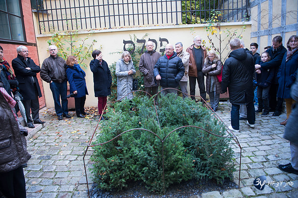 20161106-troyes-_6D47034_5053-Troyes Novembre 2016-lightroom-