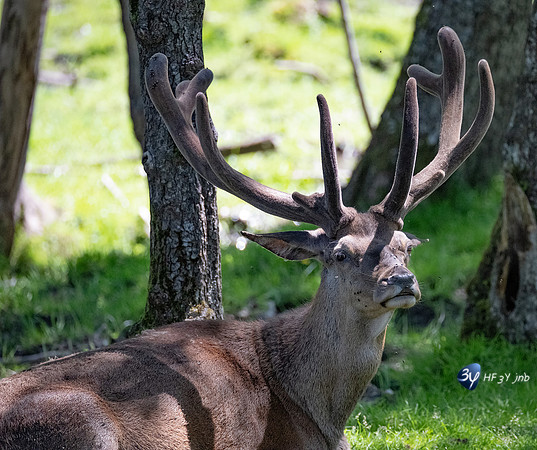 20220601-Aran-Park-espagne-Z07_3113_DxO