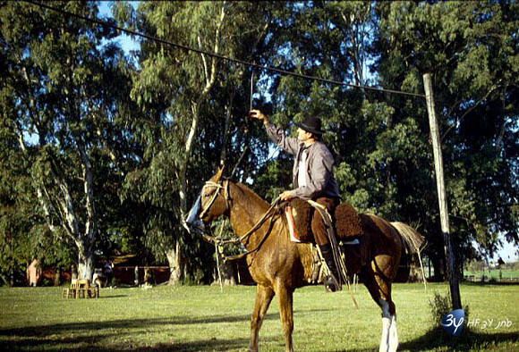 20001231-argentine-argcheval2