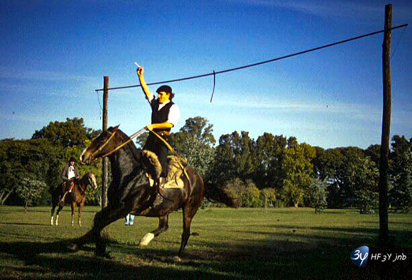 20001231-argentine-argcheval1