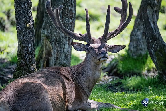 20220601-Aran-Park-espagne-Z07_3109_DxO