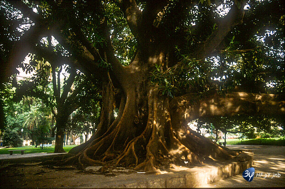 20031115-argentine-ag96
