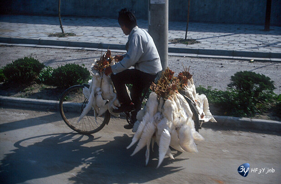 19920507-chine-chine2