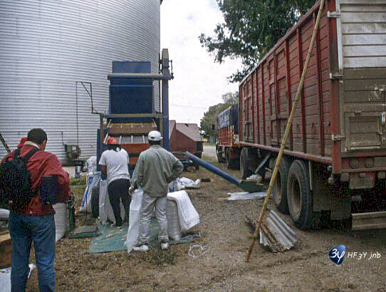 20001231-argentine-argsemences