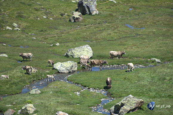 20160718-pix25-Arcalis Andorra montagne ESP_NAS3249_2224