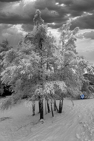 20250204-Alpe-Huez-IMG_1979-2-Modifier-11