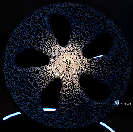 _Z9F6853-2-36
