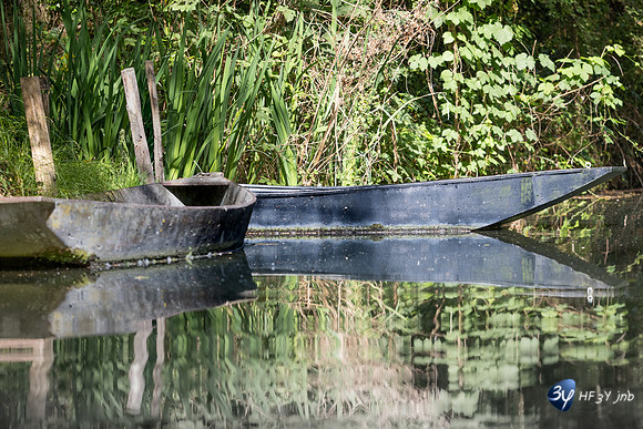 20220521-Marais Poitevin -Arcais -Z07_2406